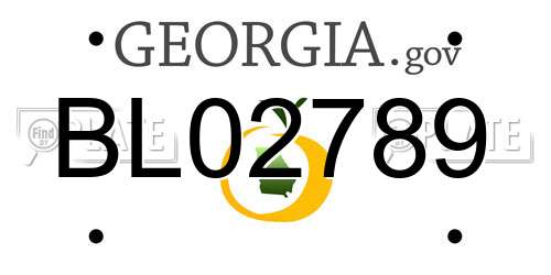 BL02789 Georgia License Plate