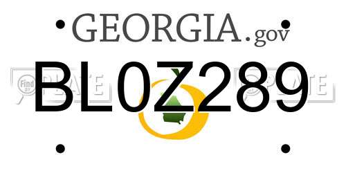 BL0Z289 Georgia License Plate