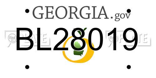 BL28019 Georgia License Plate