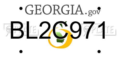 BL2C971 Georgia License Plate