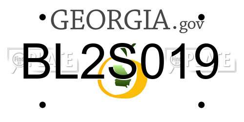 BL2S019 Georgia License Plate