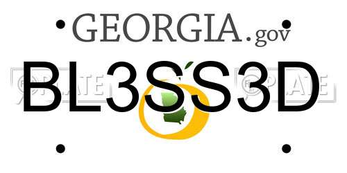 BL3SS3D Georgia License Plate