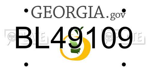 BL49109 Georgia License Plate