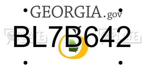 BL7B642 Georgia License Plate