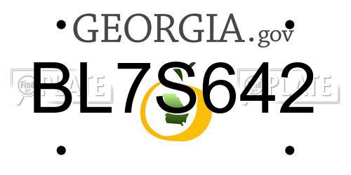 BL7S642 Georgia License Plate