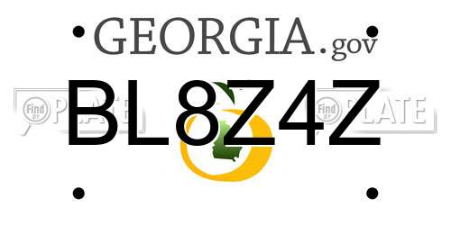 BL8Z4Z Georgia License Plate