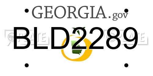 BLD2289 Georgia License Plate
