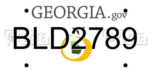 BLD2789 Georgia License Plate
