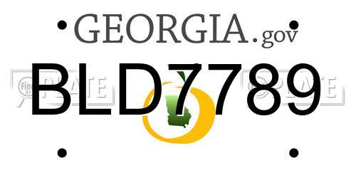 BLD7789 Georgia License Plate