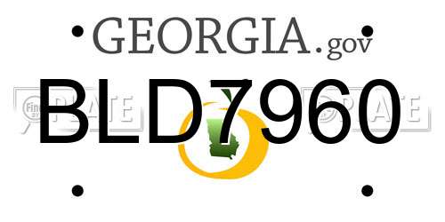 BLD7960 Georgia License Plate