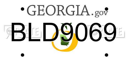 BLD9069 Georgia License Plate