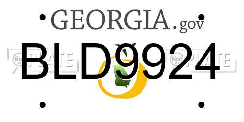 BLD9924 Georgia License Plate