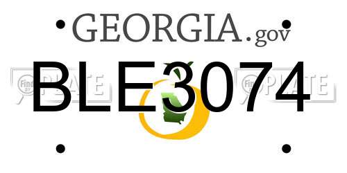 BLE3074 Georgia License Plate