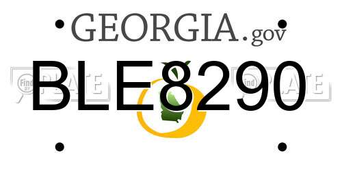 BLE8290 Georgia License Plate