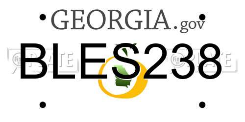 BLES238 Georgia License Plate