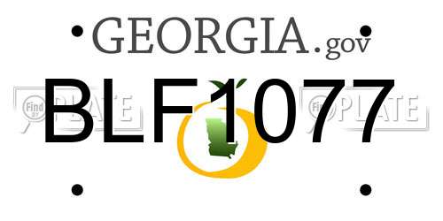 BLF1077 Georgia License Plate