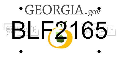 BLF2165 Georgia License Plate