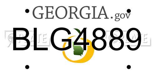 BLG4889 Georgia License Plate