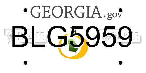 BLG5959 Georgia License Plate