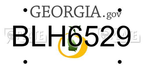 BLH6529 Georgia License Plate