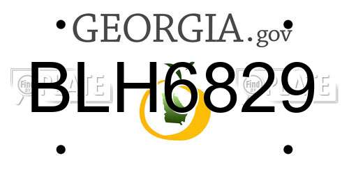 BLH6829 Georgia License Plate