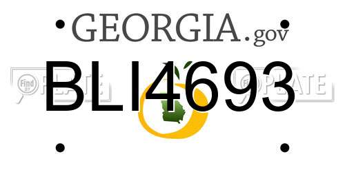 BLI4693 Georgia License Plate
