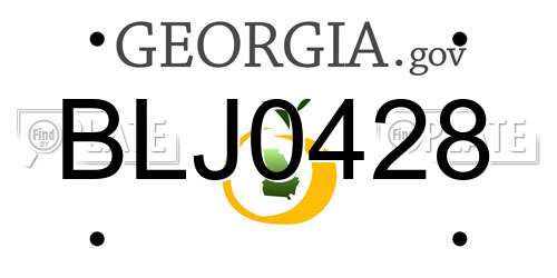 BLJ0428 Georgia License Plate
