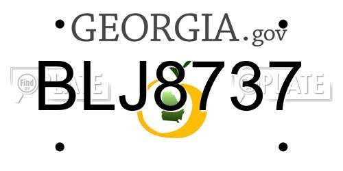 BLJ8737 Georgia License Plate