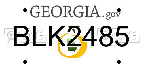 BLK2485 Georgia License Plate