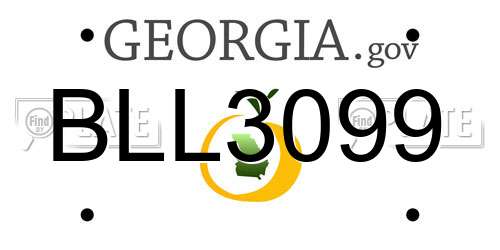BLL3099 Georgia License Plate