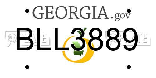 BLL3889 Georgia License Plate