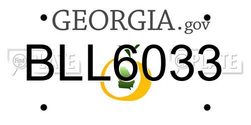 BLL6033 Georgia License Plate