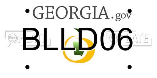 BLLD06 Georgia License Plate