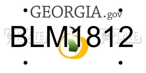 BLM1812 Georgia License Plate