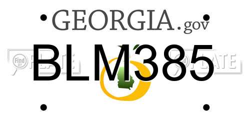 BLM385 Georgia License Plate