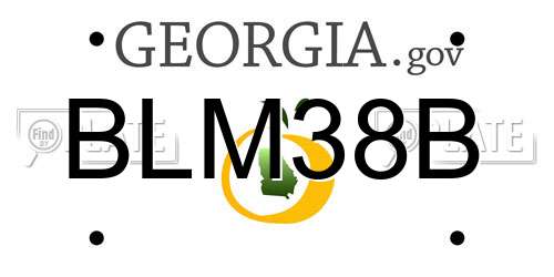 BLM38B Georgia License Plate