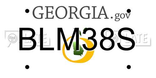 BLM38S Georgia License Plate