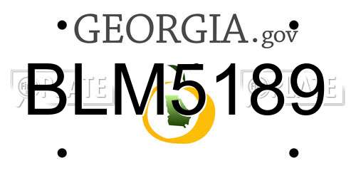 BLM5189 Georgia License Plate