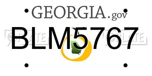 BLM5767 Georgia License Plate