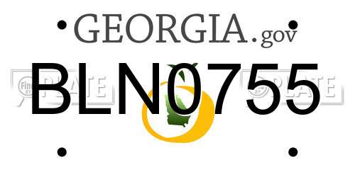 BLN0755 Georgia License Plate