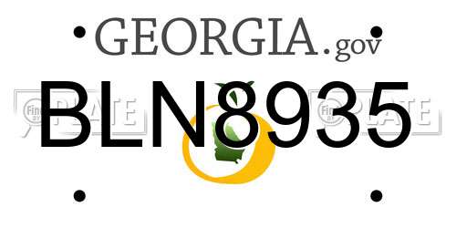 BLN8935 Georgia License Plate