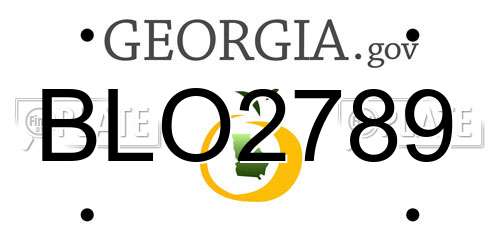 BLO2789 Georgia License Plate
