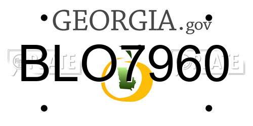 BLO7960 Georgia License Plate