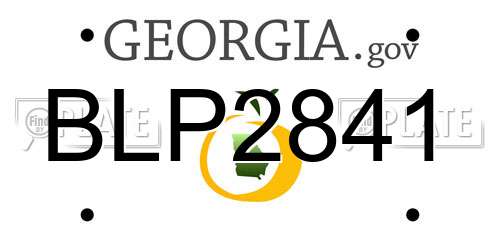 BLP2841 Georgia License Plate