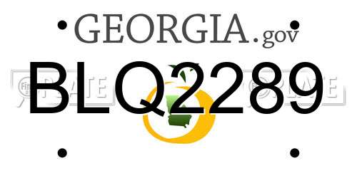 BLQ2289 Georgia License Plate