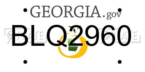 BLQ2960 Georgia License Plate