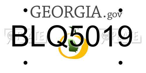 BLQ5019 Georgia License Plate