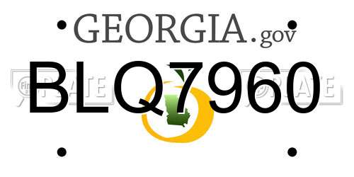 BLQ7960 Georgia License Plate