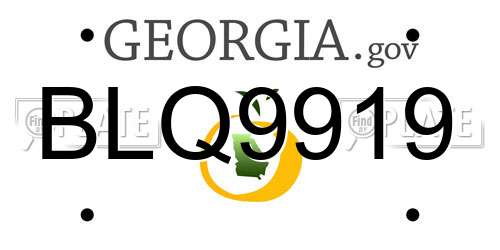 BLQ9919 Georgia License Plate