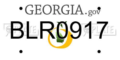 BLR0917 Georgia License Plate